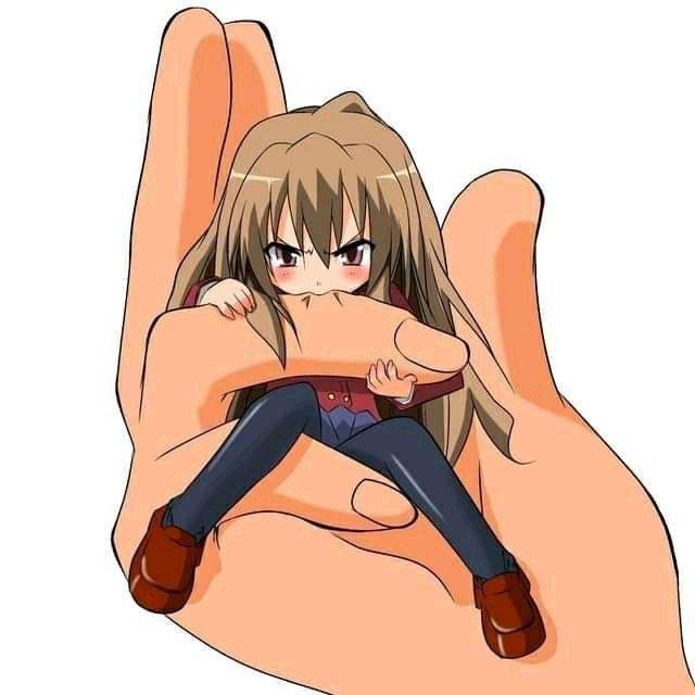 Taiga